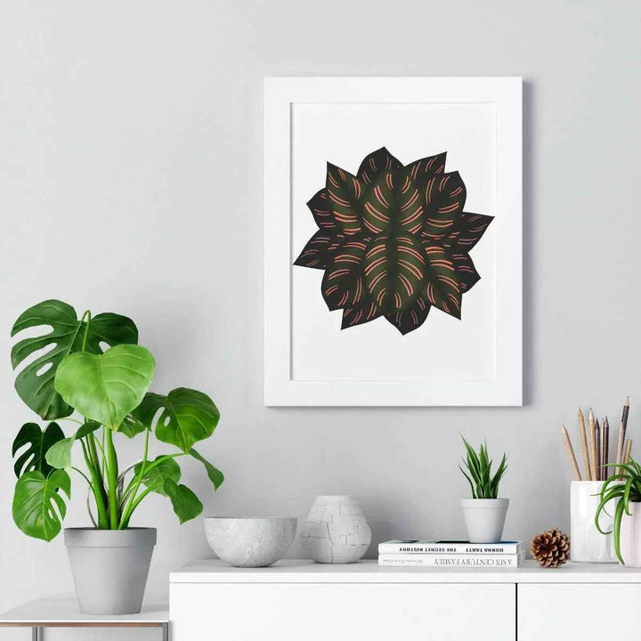 Calathea Pinstripe Print - Framed Botanical Art With Matte Finish & Acrylic Cover