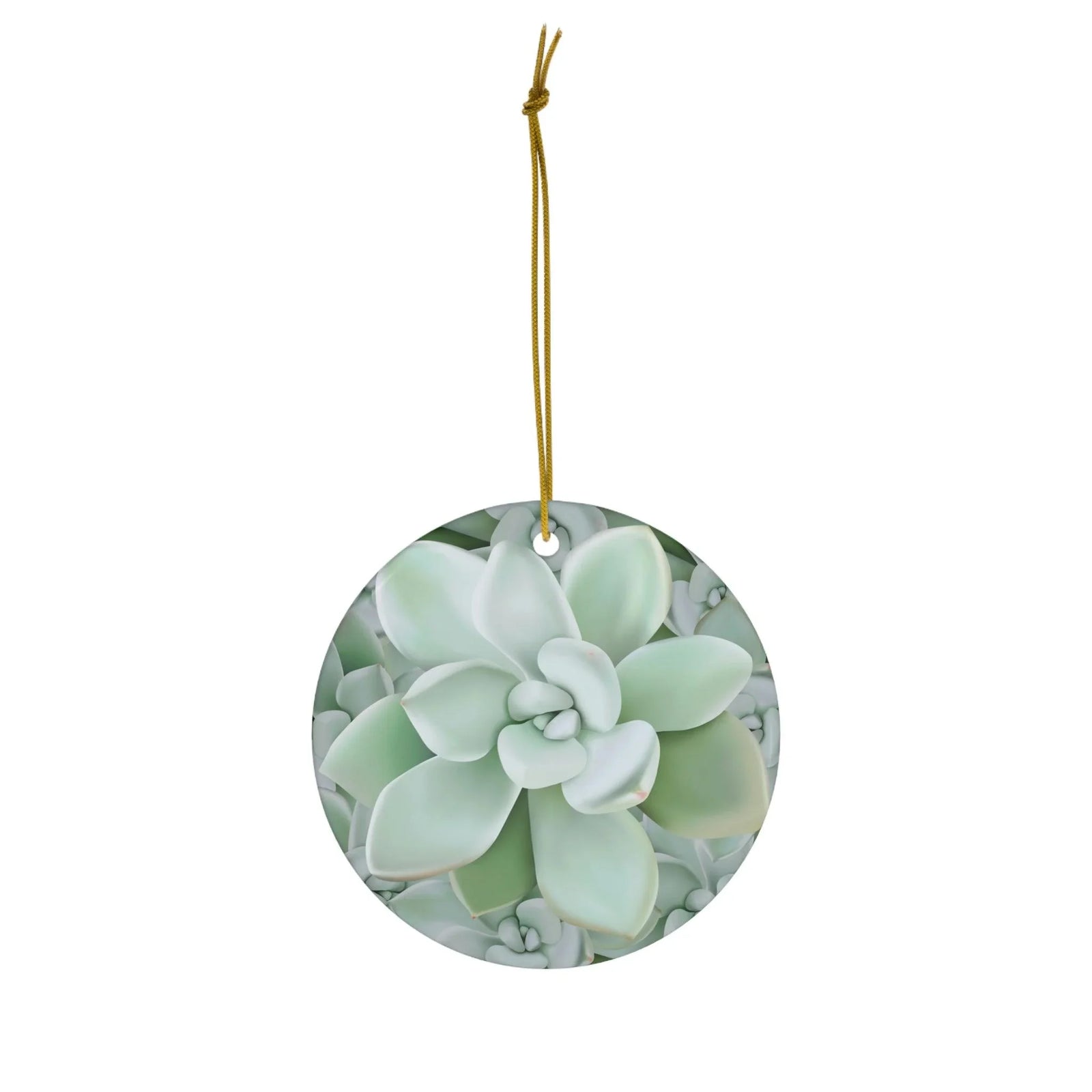 Pachyveria Haagei Pattern Succulent Ceramic Ornament, Home Decor, Printify, Ceramic, Christmas, Glossy, Holiday Picks, Home & Living, ornament, Ornaments, Seasonal Decorations, Laura Christine Photography & Design, laurachristinedesign.com