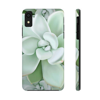 Pachyveria Haagei Succulent Phone Case, Phone Case, Printify, Accessories, Glossy, iPhone Cases, Matte, Phone accessory, Phone Cases, Samsung Cases, Laura Christine Photography & Design, laurachristinedesign.com