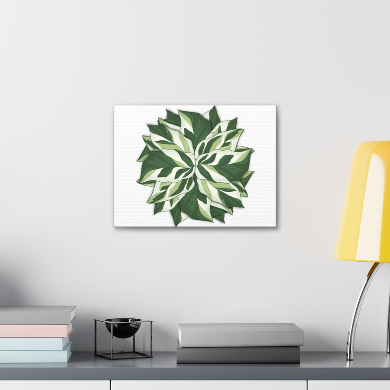 Calathea White Fusion Canvas