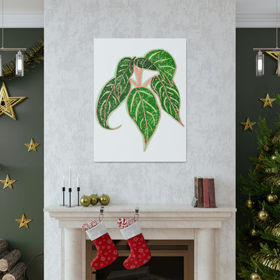 Aglaonema Sparkling Sarah Plant Canvas