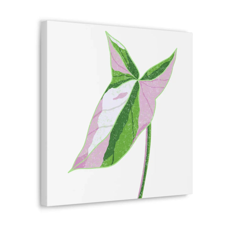 Syngonium Tricolor Canvas | Botanical Canvas Art Print With Matte Finish - Laura Christine Photography & Design