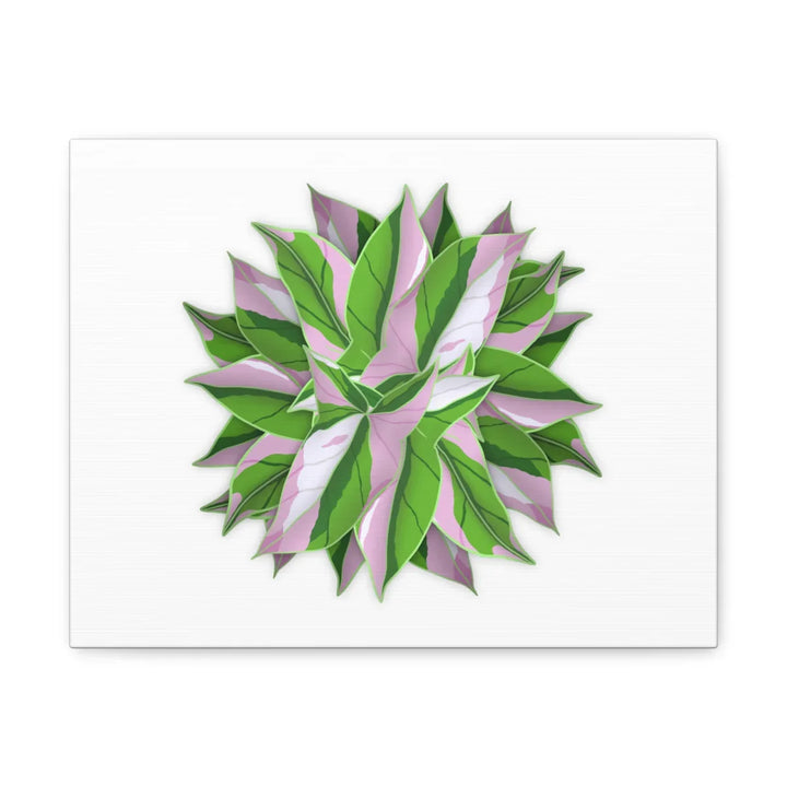 Tricolor Syngonium Canvas - Durable Canvas Art Print With Matte Finish & Botanical Design - Laura Christine Photography & Design