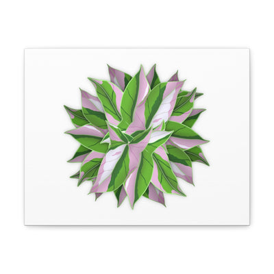 Tricolor Syngonium Canvas