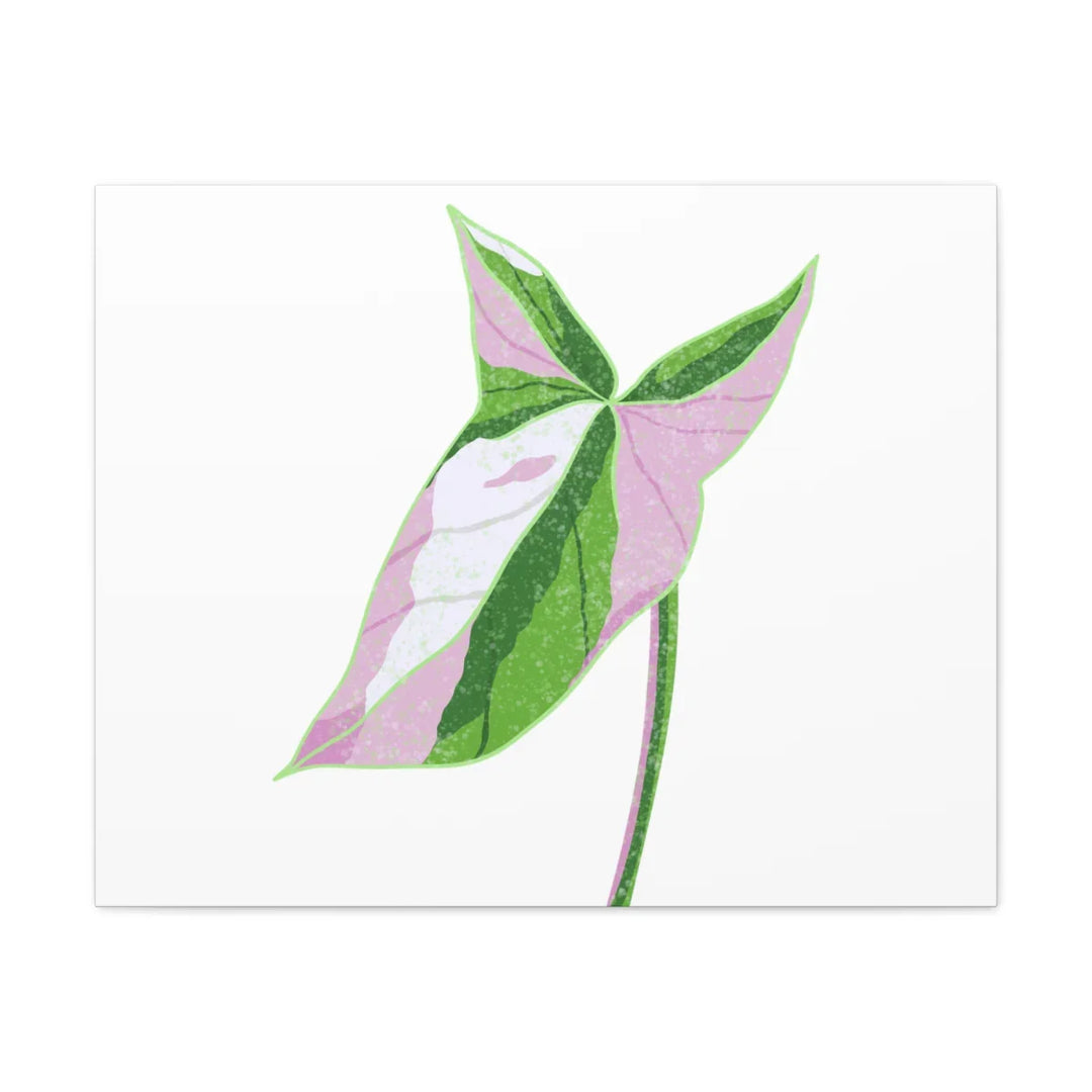 Syngonium Tricolor Canvas | Botanical Canvas Art Print With Matte Finish - Laura Christine Photography & Design