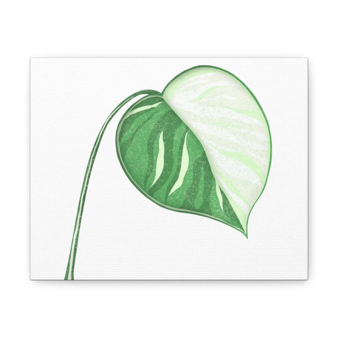 Monstera Albo Canvas | Large Tropical Leaf Artwork - Matte Finish Canvas Art Print - Laura Christine Photography & Design