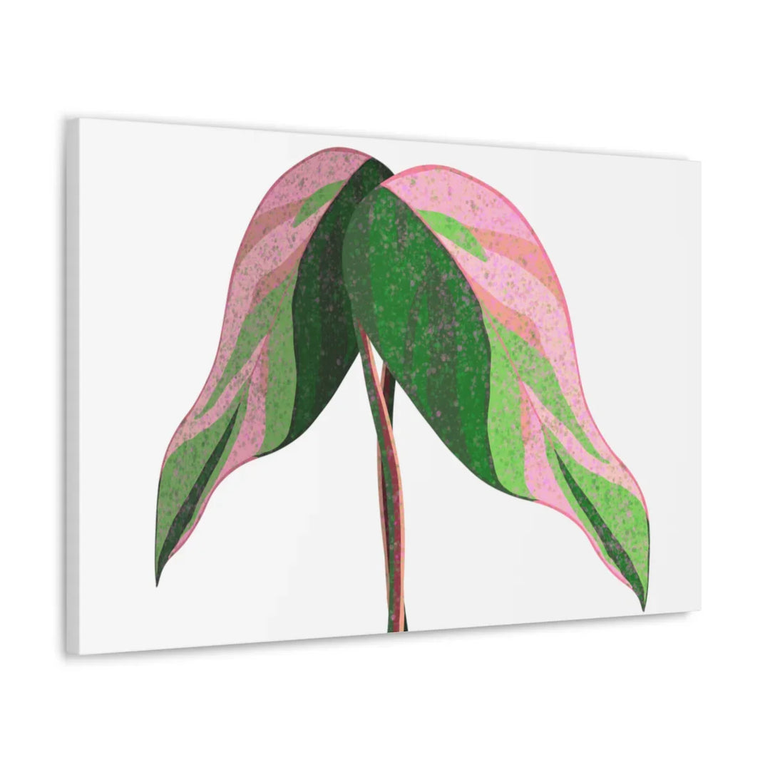 Pink Princess Philodendron Canvas Art Print – Botanical Wall Decor | Matte Finish