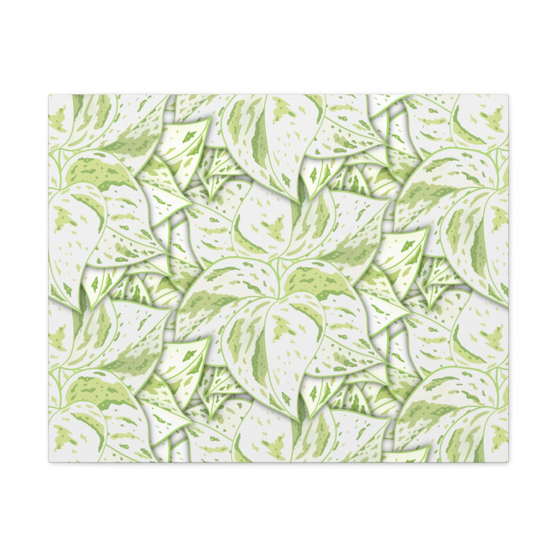 Snow Queen Pothos Canvas