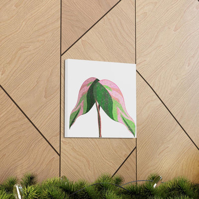 Pink Princess Philodendron Canvas, Canvas, Laura Christine Photography & Design, Art & Wall Decor, Canvas, Hanging Hardware, Home & Living, Indoor, Laura Christine Photography & Design, 