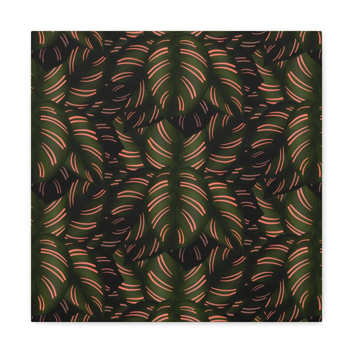 Calathea Pinstripe Canvas – Botanical Canvas Art Print | Matte Finish Wall Decor