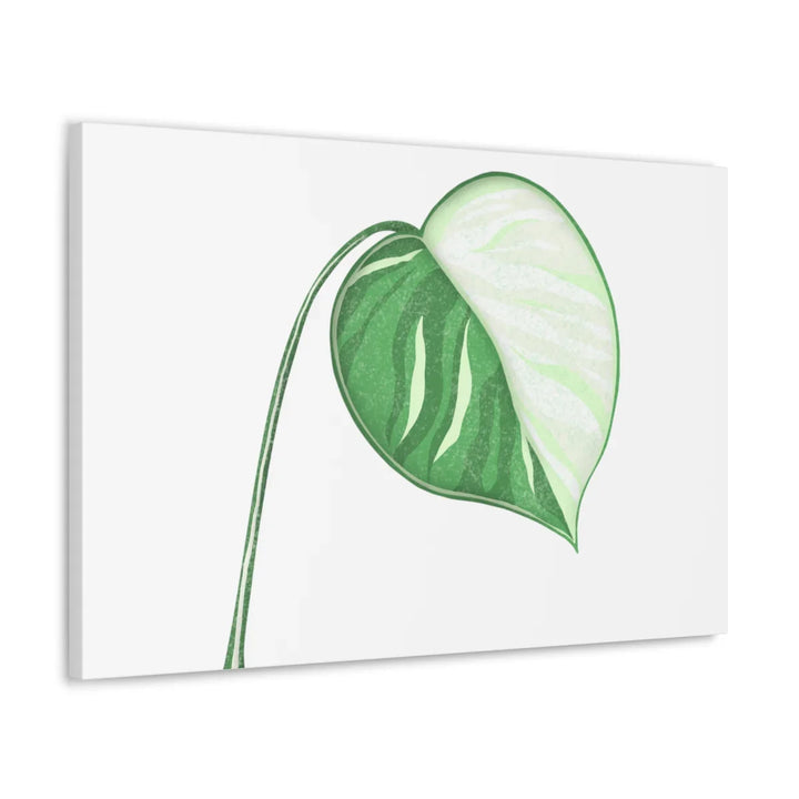 Monstera Albo Canvas | Large Tropical Leaf Artwork - Matte Finish Canvas Art Print - Laura Christine Photography & Design