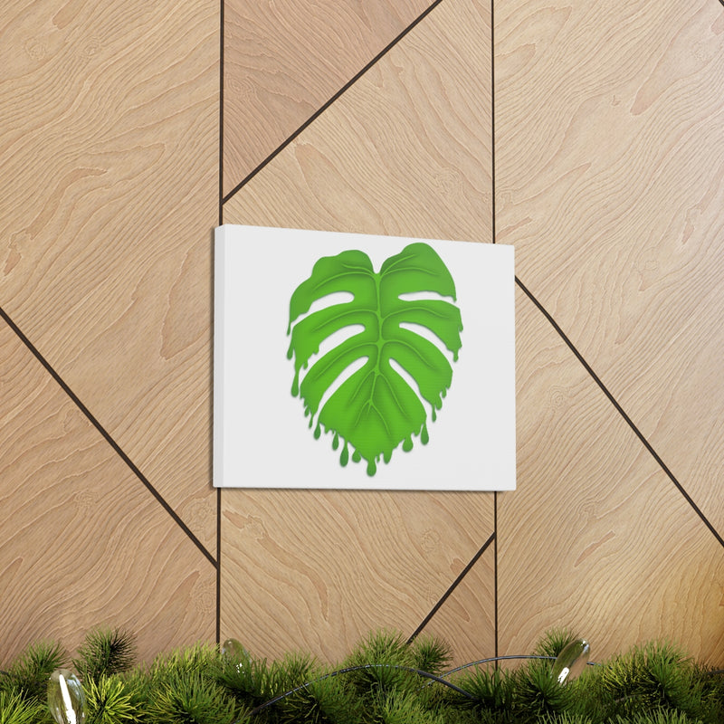 Melting Monstera Canvas