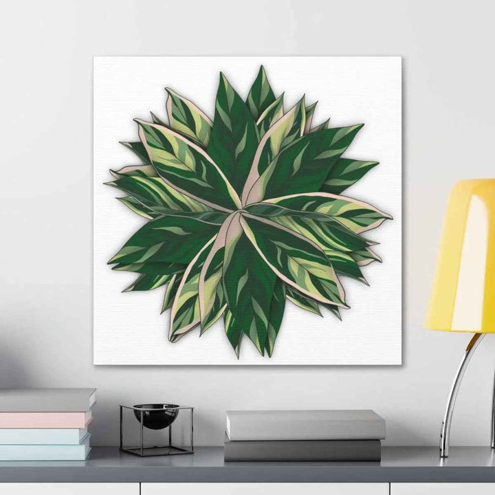 Stromanthe Triostar Canvas - Pastel Stripe Canvas Art Print With Vivid Color Artwork