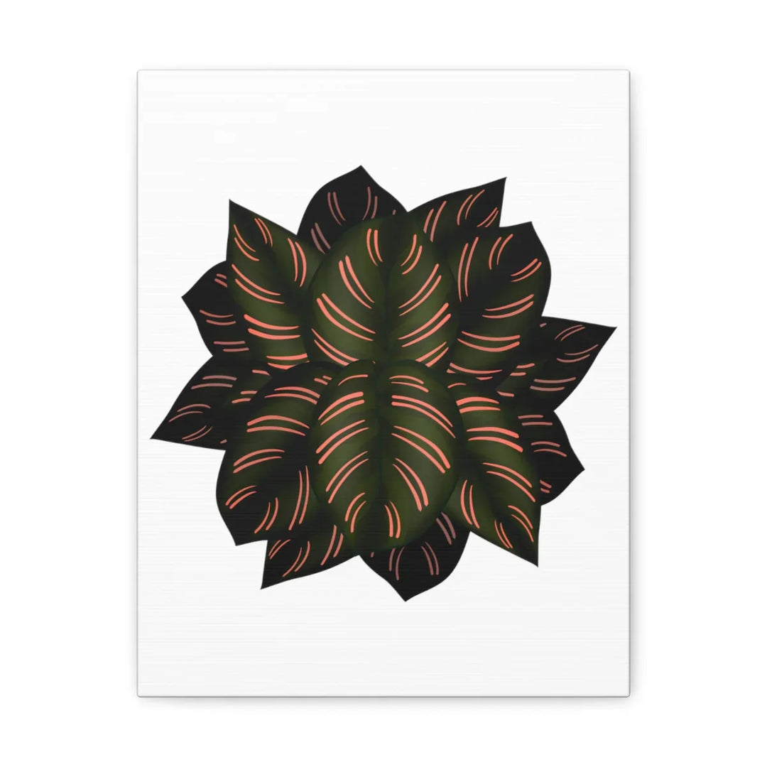 Calathea Pinstripe Canvas – Botanical Canvas Art Print | Matte Finish Wall Decor