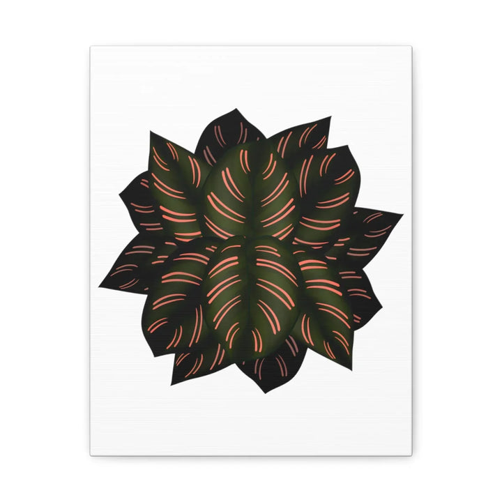 Calathea Pinstripe Canvas – Botanical Canvas Art Print | Matte Finish Wall Decor