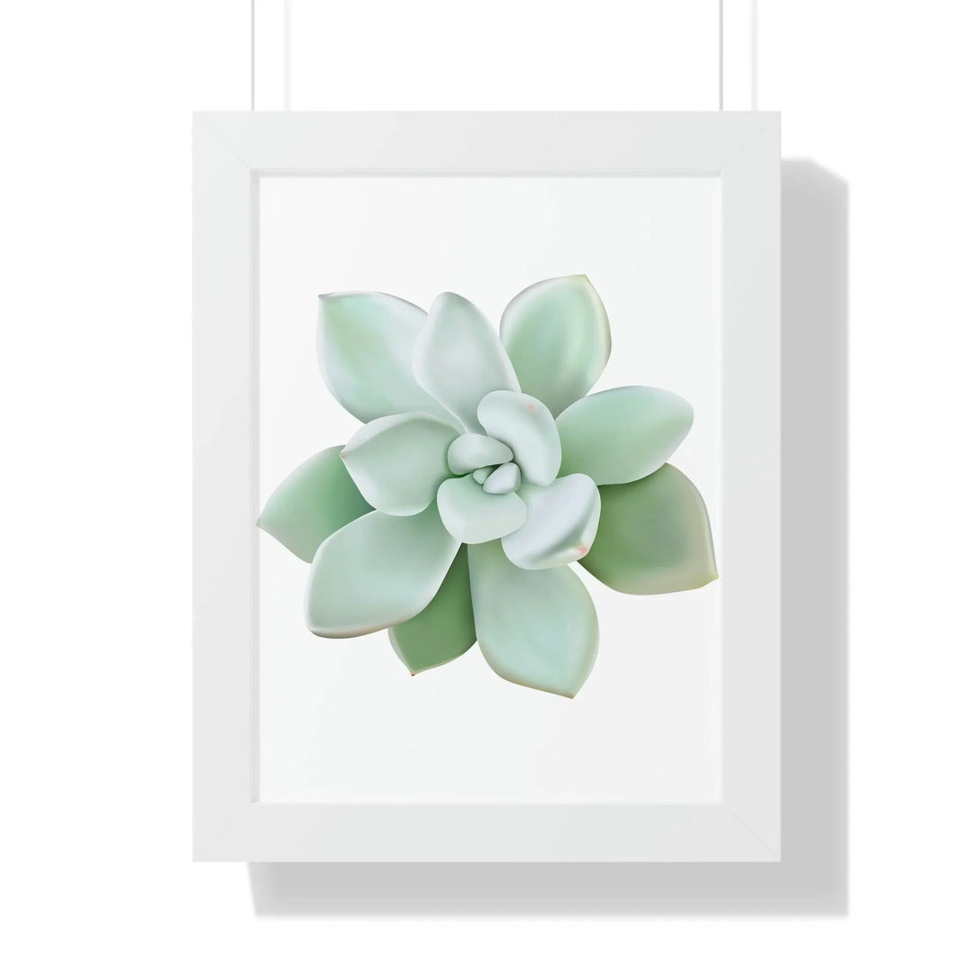 Pachyveria Haagei Succulent Framed Print, Poster, Printify, Framed, Home & Living, Indoor, Paper, Posters, Laura Christine Photography & Design, laurachristinedesign.com