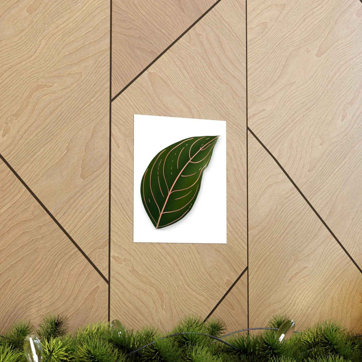 POS Aglaonema Rotundum Print