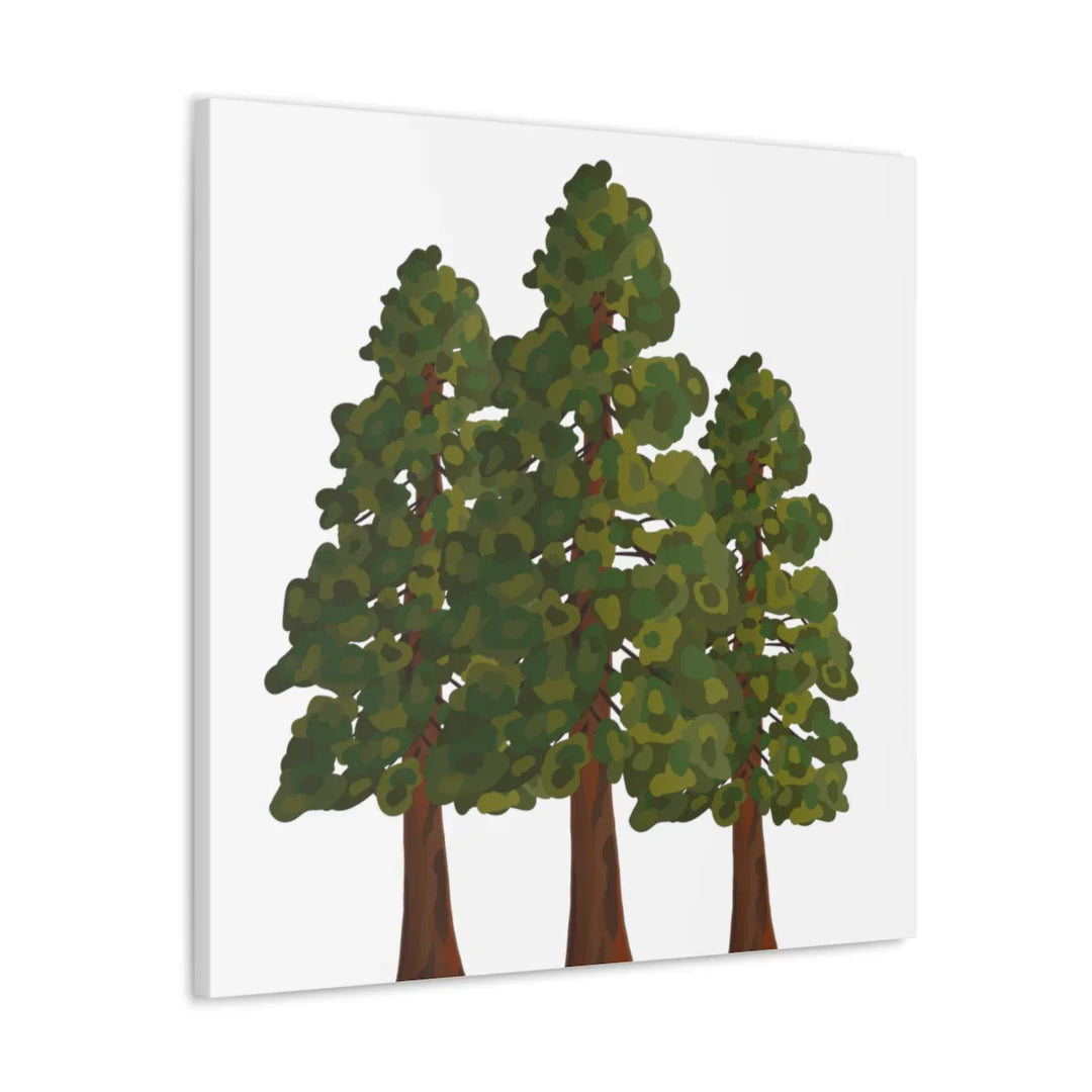 Coastal Redwoods Canvas - Stretched Cotton Canvas Art Print | Matte Finish Wall Hanging Artwork