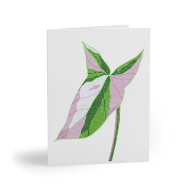 Syngonium Tricolor Greeting Card, Paper products, Laura Christine Photography & Design, Greeting Card, Holiday Picks, Home & Living, Paper, Postcard, Postcards, Laura Christine Photography & Design, laurachristinedesign.com