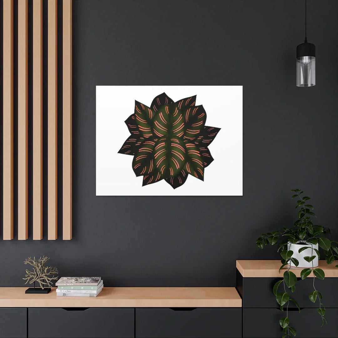 Calathea Pinstripe Canvas – Botanical Canvas Art Print | Matte Finish Wall Decor