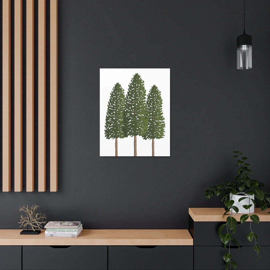 Ponderosa Pine Canvas - Large Stretched Cotton Canvas Art Print With Matte Finish