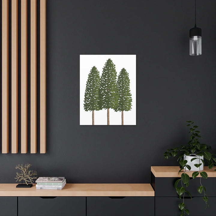 Ponderosa Pine Canvas - Large Stretched Cotton Canvas Art Print With Matte Finish