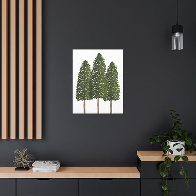 Ponderosa Pine Canvas