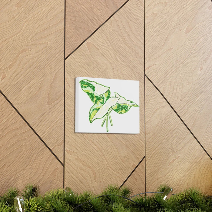 Marble Syngonium Canvas - Botanical Canvas Art Print | Durable Cotton Matte Finish - Laura Christine Photography & Design