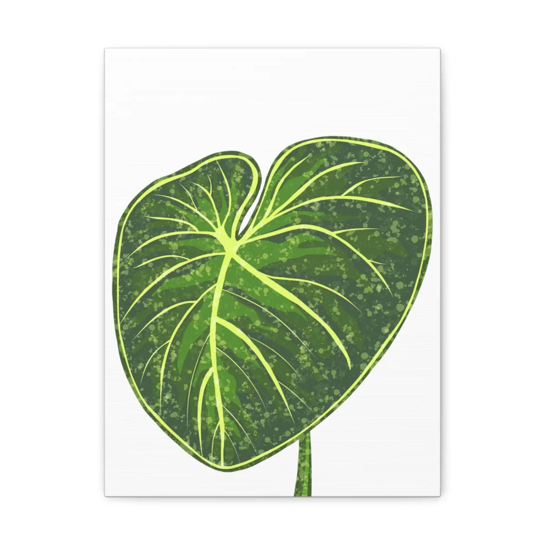 Philodendron Gloriosum Canvas - Stretched Canvas Art Print | Matte Indoor Wall Art - Laura Christine Photography & Design