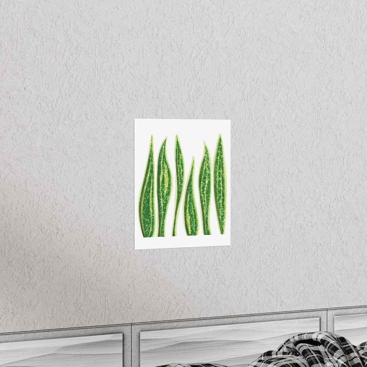 Snake Plant Print – Large Botanical Wall Art Poster | Matte Finish | Unframed