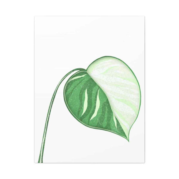 Monstera Albo Canvas | Large Tropical Leaf Artwork - Matte Finish Canvas Art Print