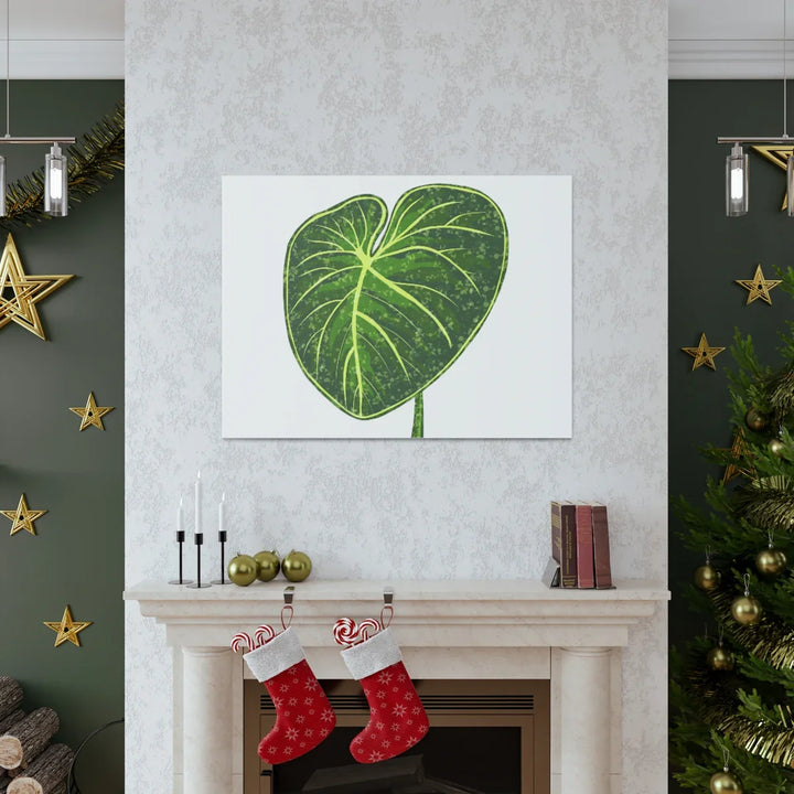 Philodendron Gloriosum Canvas - Stretched Canvas Art Print | Matte Indoor Wall Art - Laura Christine Photography & Design