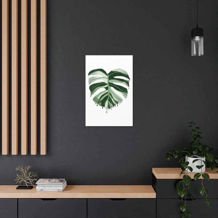 Melting Monstera Albo Canvas | Large Botanical Canvas Art Print With Matte Finish