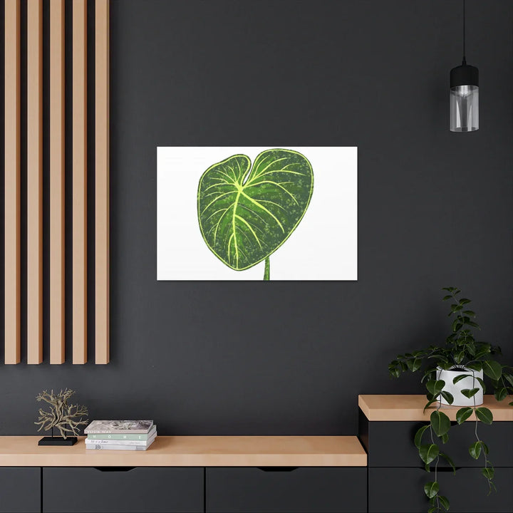 Philodendron Gloriosum Canvas - Stretched Canvas Art Print | Matte Indoor Wall Art - Laura Christine Photography & Design