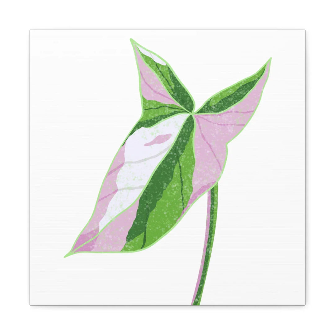 Syngonium Tricolor Canvas | Botanical Canvas Art Print With Matte Finish - Laura Christine Photography & Design