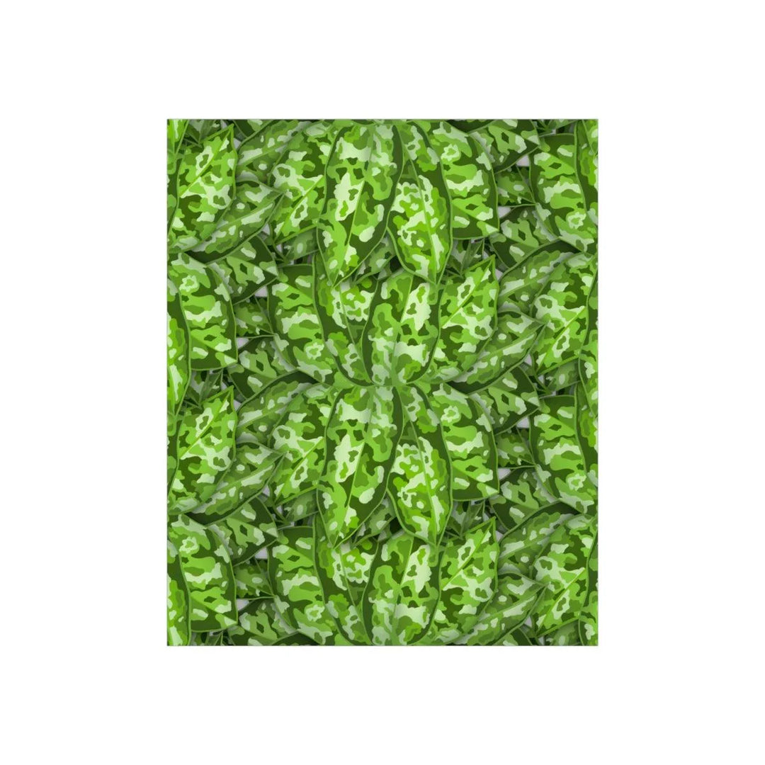 Aglaonema Pictum Tricolor Print, Poster, Laura Christine Photography & Design, Back to School, Home & Living, Indoor, Matte, Paper, Posters, Valentine's Day promotion, Laura Christine Photography & Design, laurachristinedesign.com