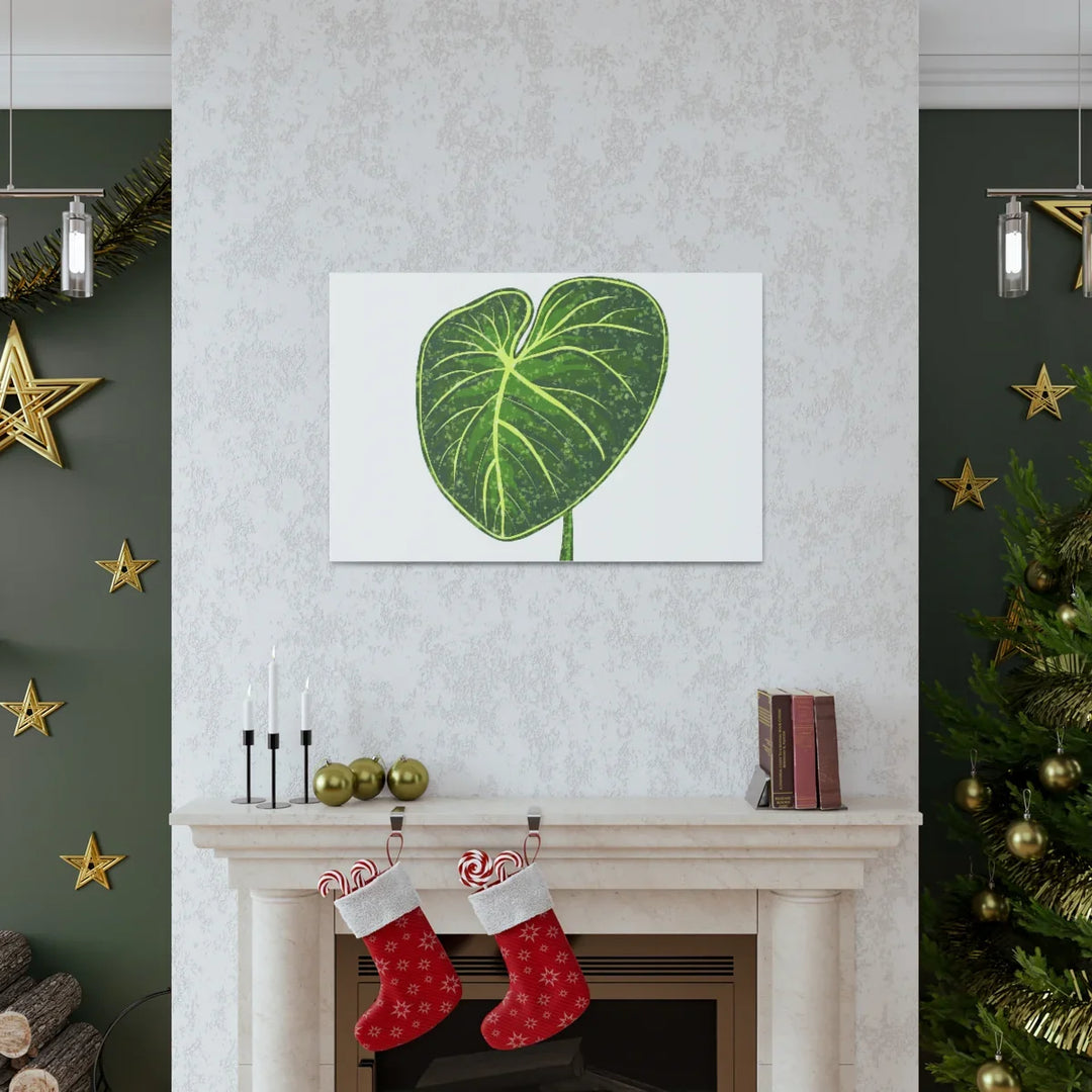 Philodendron Gloriosum Canvas - Stretched Canvas Art Print | Matte Indoor Wall Art - Laura Christine Photography & Design