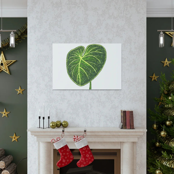 Philodendron Gloriosum Canvas - Stretched Canvas Art Print | Matte Indoor Wall Art - Laura Christine Photography & Design