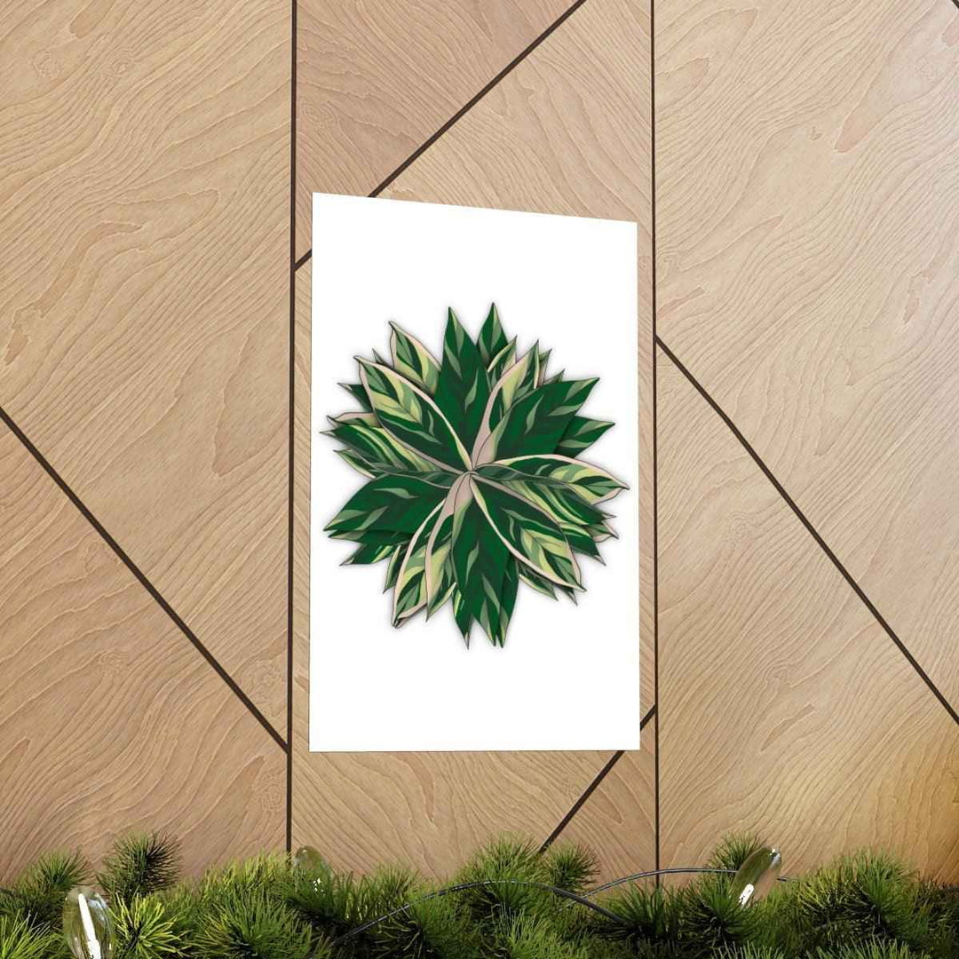 Stromanthe Triostar Print – Tropical Wall Art | Botanical Poster on Museum Grade Paper Unframed