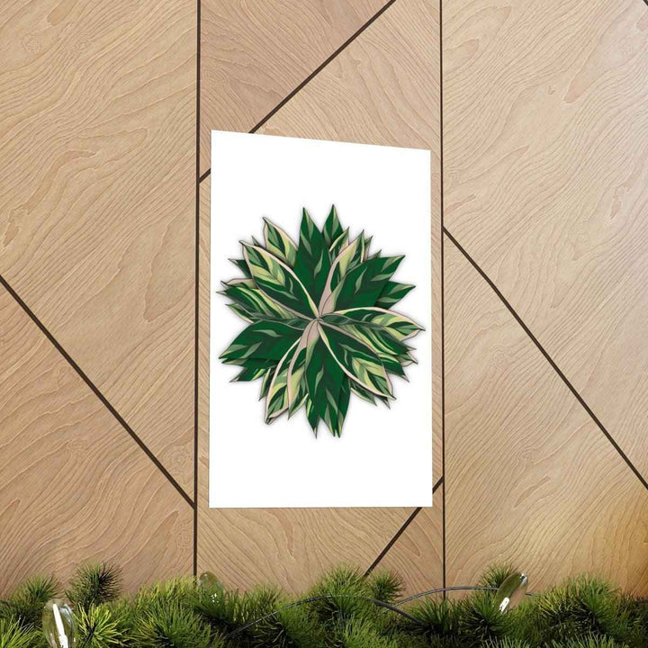 Stromanthe Triostar Print – Tropical Wall Art | Botanical Poster on Museum Grade Paper Unframed