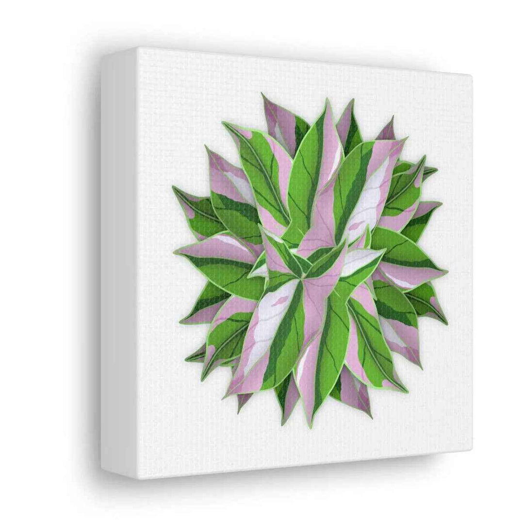 Tricolor Syngonium Canvas - Durable Canvas Art Print With Matte Finish & Botanical Design