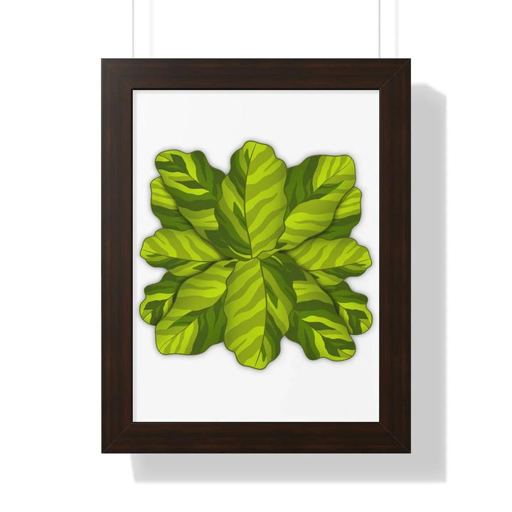 Calathea Yellow Fusion Framed Print, Poster, Laura Christine Photography & Design, Bottle, Calathea, Canvas Bag, Coffee, Drinkware, Framed, Home & Living, Indoor, Paper, Posters, Prayer Plant, Reusable, Shopping Bag, Tea, Tote Bag, Travel, Tumbler, Water, Yellow Fusion, Laura Christine Photography & Design, laurachristinedesign.com