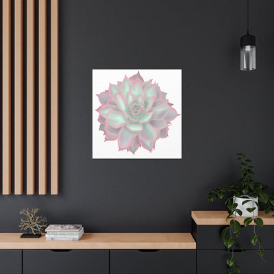 Echeveria Violet Queen Succulent Canvas, Canvas, Laura Christine Photography & Design, Art & Wall Decor, Canvas, Hanging Hardware, Home & Living, Indoor, Laura Christine Photography & Design, laurachristinedesign.com