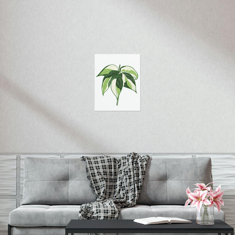 Philodendron &