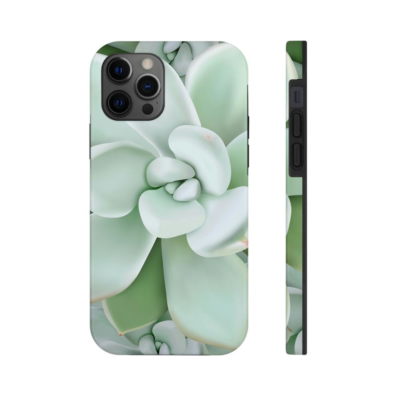 Pachyveria Haagei Succulent Phone Case, Phone Case, Printify, Accessories, Glossy, iPhone Cases, Matte, Phone accessory, Phone Cases, Samsung Cases, Laura Christine Photography & Design, laurachristinedesign.com