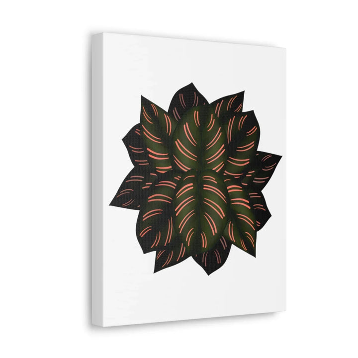 Calathea Pinstripe Canvas – Botanical Canvas Art Print | Matte Finish Wall Decor