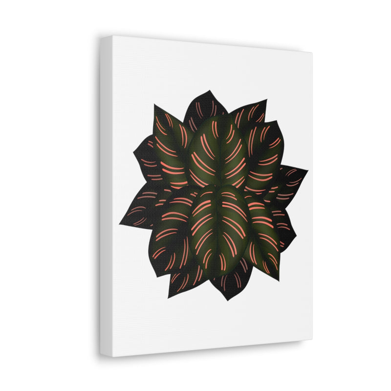 Calathea Pinstripe Canvas