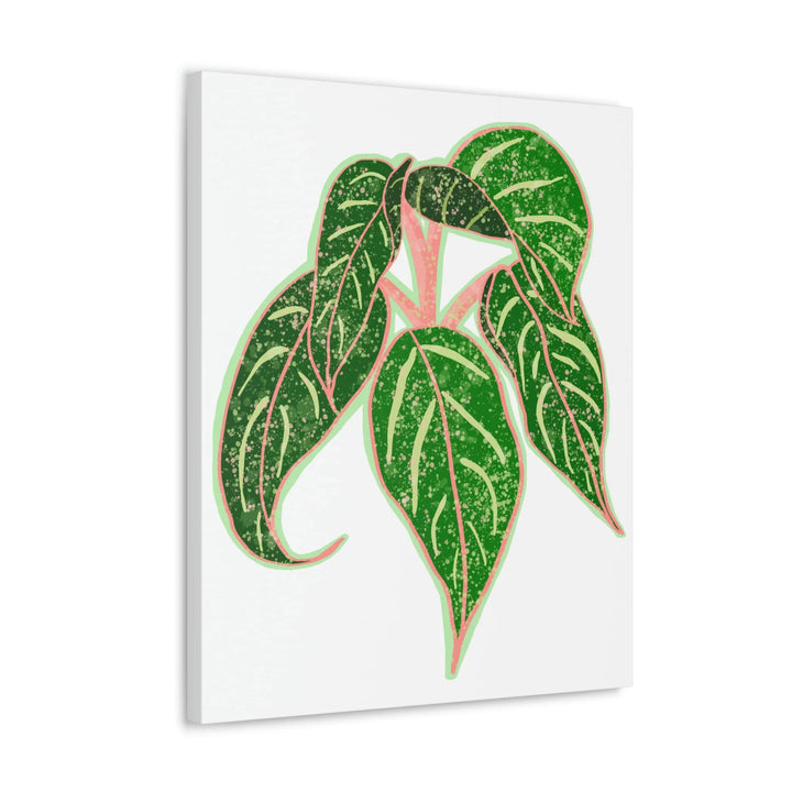 Aglaonema Plant Canvas | Sparkling Plant Artwork - Colorfast Canvas Art Print Decor