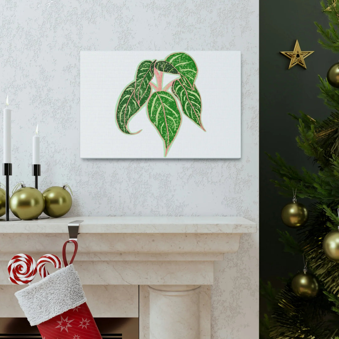 Aglaonema Plant Canvas | Sparkling Plant Artwork - Colorfast Canvas Art Print Decor