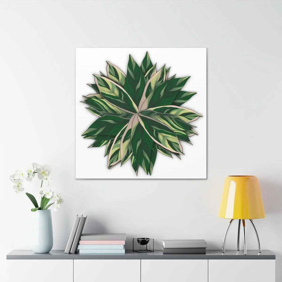 Stromanthe Triostar Canvas - Pastel Stripe Canvas Art Print With Vivid Color Artwork